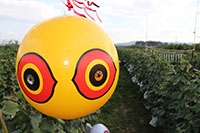 龙岩驱鸟气球厂家,驱鸟气球,驱鸟气球批发